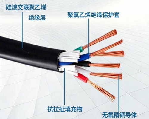 广东新荔